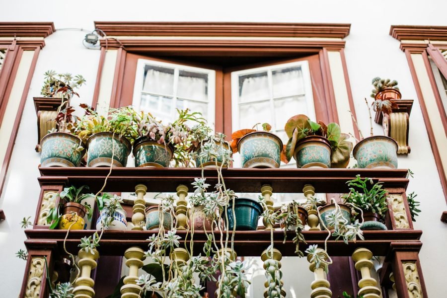 worm's eye view of plants on railings